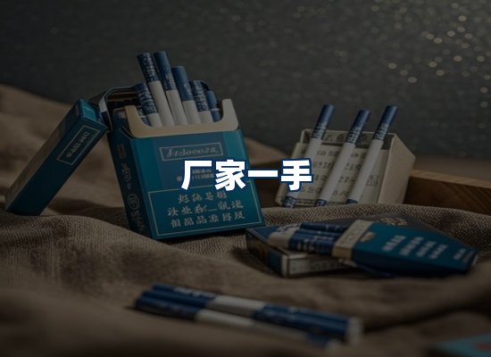 专业团队办公环境